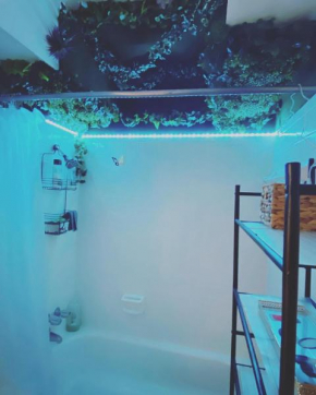 420 friendly- Cabana Studio